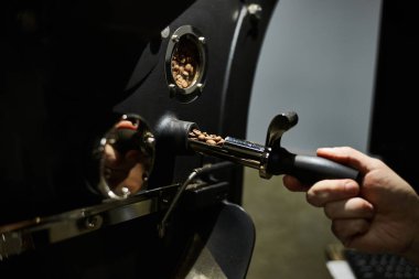 Kahve Kızartma Teknolojisi. Kahve kızartma makinesini bir adam kontrol ediyor. Yakın plan..