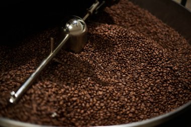 Coffee beans roasted well in a coffee roasting machine. Close-up. clipart