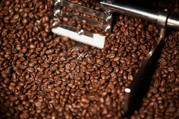 Thoroughly roasted coffee in a coffee roasting machine. Close-up.