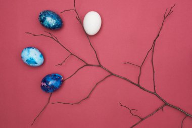 Paskalya bayramı kompozisyonu, dalında Paskalya yumurtası var. Magenta arkaplanı.
