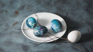 Mutlu Paskalyalar. Beyaz bir tabakta Paskalya yumurtaları ve mavi bir yüzey üzerinde bir dal..