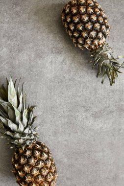 Gri bir zeminde olgun egzotik ananaslar..