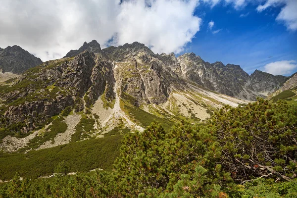 Admiring the beauty of rocky Tatra mountains — Stock Photo, Image