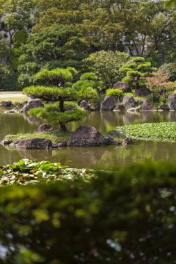 Yazın güzel Japon geleneksel parkı