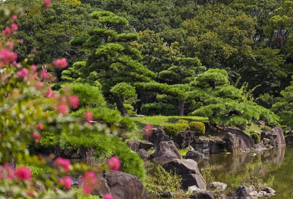 Belo parque tradicional japonês no tempo de verão — Fotografia de Stock