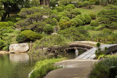 Yazın güzel Japon geleneksel parkı