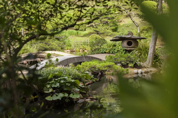 夏天美丽的日本传统公园 — 图库照片