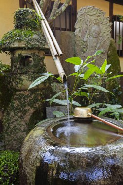 Geleneksel Japon bambu arıtma çeşmesi Japon tapınağının girişinde arınmak için..