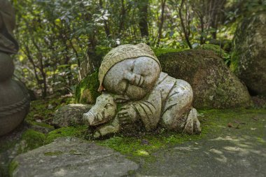 Yaban domuzu - Japon burcunun sembolü. Jizo taş heykeli örgü ve kumaştan şapkalar giyiyor..