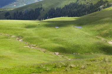 Romanya 'nın Farkeu dağı yakınlarındaki dağlarda yeşil çayırlar