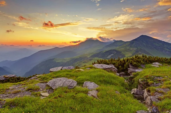 Pradera alpina en hermosas montañas Rodna en Rumania —  Fotos de Stock