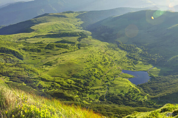Alpine meadow in beautiful Rodna mountains in Romania — Stock Photo, Image