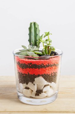 Succulent plants arrangement in a glass vase. clipart