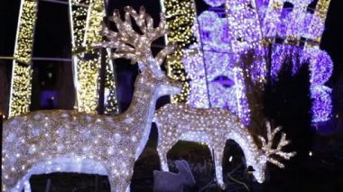 Noel geyikler yılbaşı gece dekor atmosfer