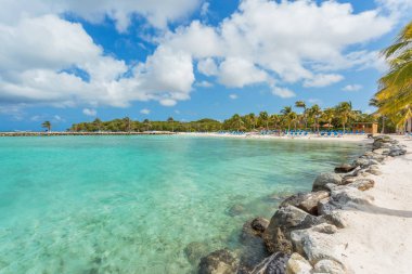 Flamingo beach Aruba Island adlı