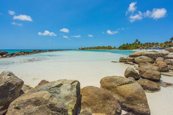 Plage de flamants roses à Aruba île — Photo