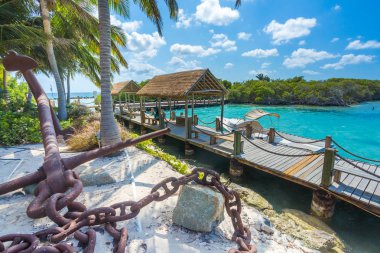 Flamingo beach Aruba Island adlı