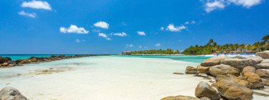 Flamingo beach Aruba Island adlı