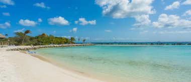 Flamingo beach Aruba Island adlı