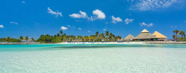 Plage de flamants roses à Aruba île — Photo