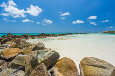 Flamingo beach Aruba Island adlı