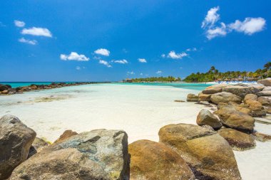 Flamingo beach Aruba Island adlı