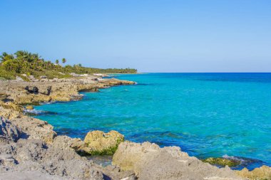 Meksika Karayipler beach