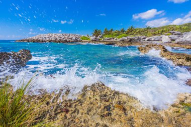 Meksika Karayipler beach