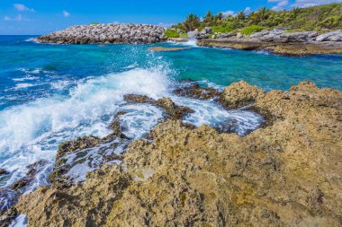 Meksika Karayipler beach