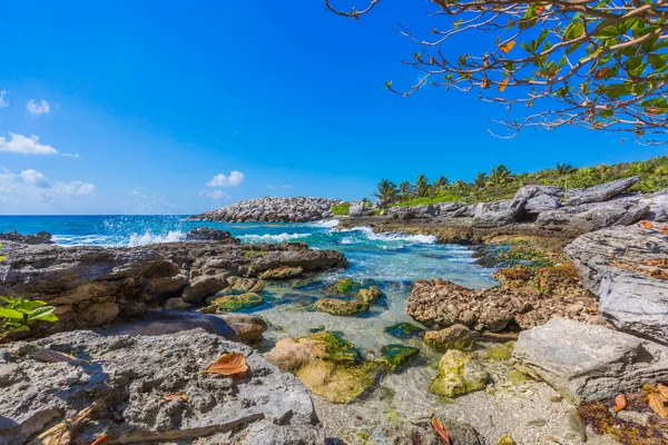メキシコのカリブ海のビーチ — ストック写真