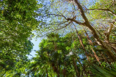 Güzel Xcaret Park. Cancun, Meksika