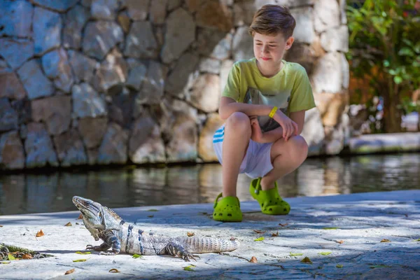 男孩坐在背景与鬣蜥 — 图库照片