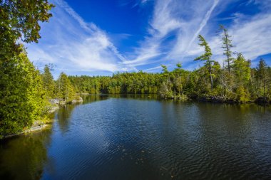 Rockwood koruma alanı