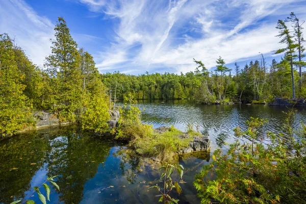 Área de conservación de Rockwood — Foto de Stock