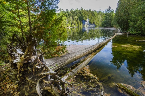 Rockwood památkovou rezervací — Stock fotografie