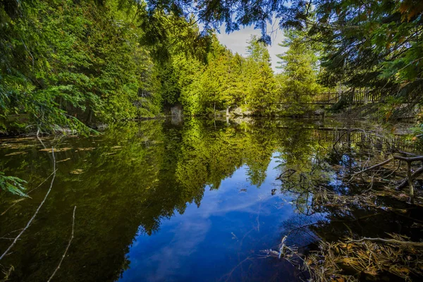 Área de conservación de Rockwood — Foto de Stock