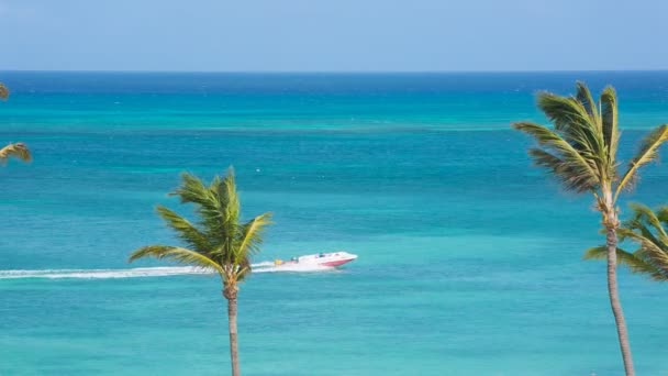 Tourist beach attraction, Aruba — Stock Video