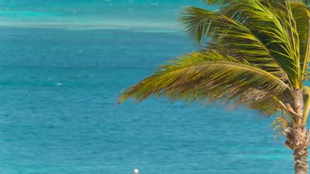 De achtergrond van de weergave van de Caribische zee — Stockvideo