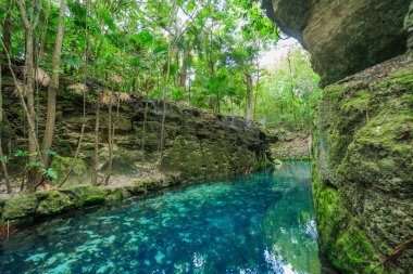 Xcaret, Meksika için mavi nehir