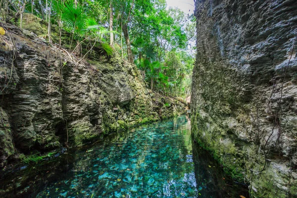 Blue river w Xcaret, Meksyk — Zdjęcie stockowe