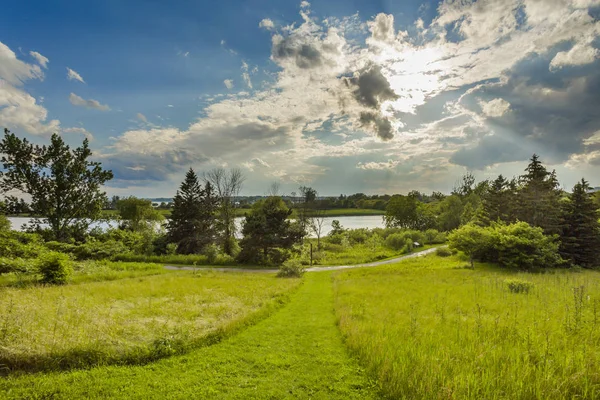 Paisaje de verano del parque en la orilla de un estanque — Foto de Stock