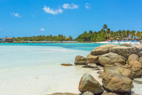 Plage de flamants roses à Aruba île — Photo