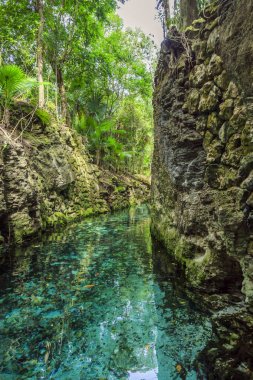 Xcaret, Meksika için mavi nehir