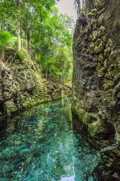 Blauer fluss in xcaret, mexiko — Stockfoto