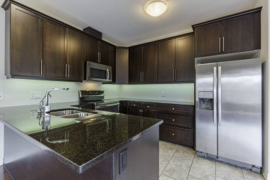 Modern Mutfak İç Tasarımı. Kuzey Amerika