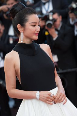 Cannes Film Festivali'nde li Bingbing
