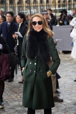 Paris, Fransa - 4 Mart 2016: Marisa Berenson Dior moda gösterisi Paris moda haftası sırasında gelen görülür: kadın giyim sonbahar kış 2016/2017