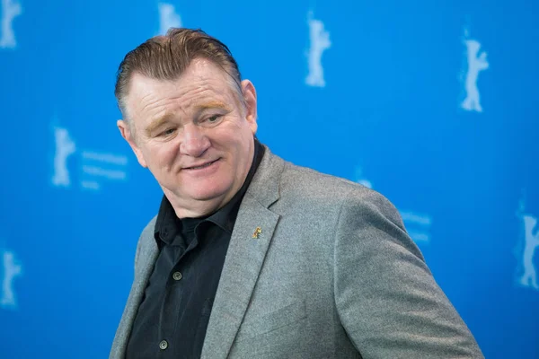 Berlino Germania Febbraio Attore Brendan Gleeson Partecipa Alla Chiamata Fotografica — Foto Stock