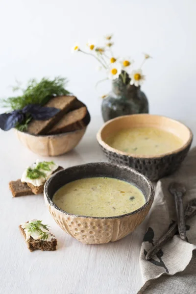 Kaas met champignons en groenten, bruin brood soep — Stockfoto