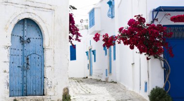Mavi kapı, pencere ve Sidi Bou Said inşaat beyaz duvar